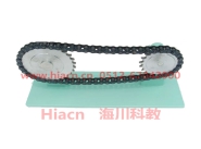 鏈傳動(dòng)模型